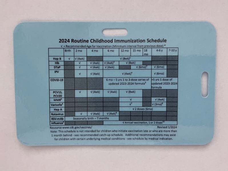 2024 Palm Cards: Childhood Schedule - PREORDER