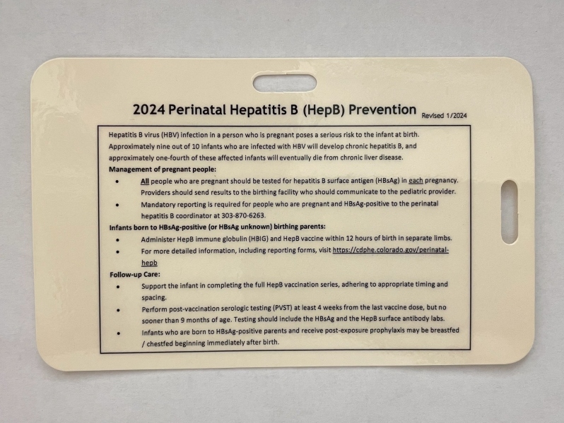 2024 Palm Cards: Perinatal Hepatitis B - PREORDER